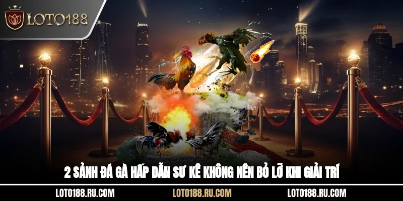 2 sảnh đá gà hấp dẫn sư kê không nên bỏ lỡ khi giải trí