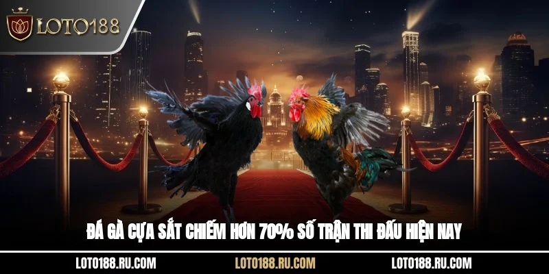 Đá gà cựa sắt chiếm hơn 70% số trận thi đấu hiện nay