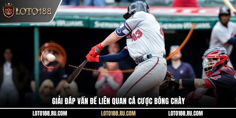 Giải đáp vấn đề liên quan cá cược bóng chày