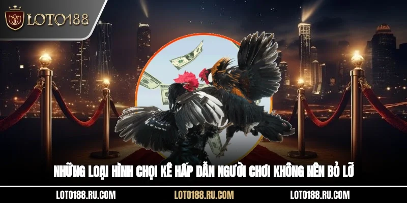 Những loại hình chọi kê hấp dẫn người chơi không nên bỏ lỡ