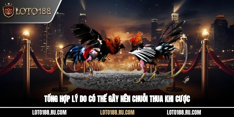 Tổng hợp lý do có thể gây nên chuỗi thua khi cược